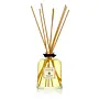 elizabeth W DIFFUSER - VETIVER