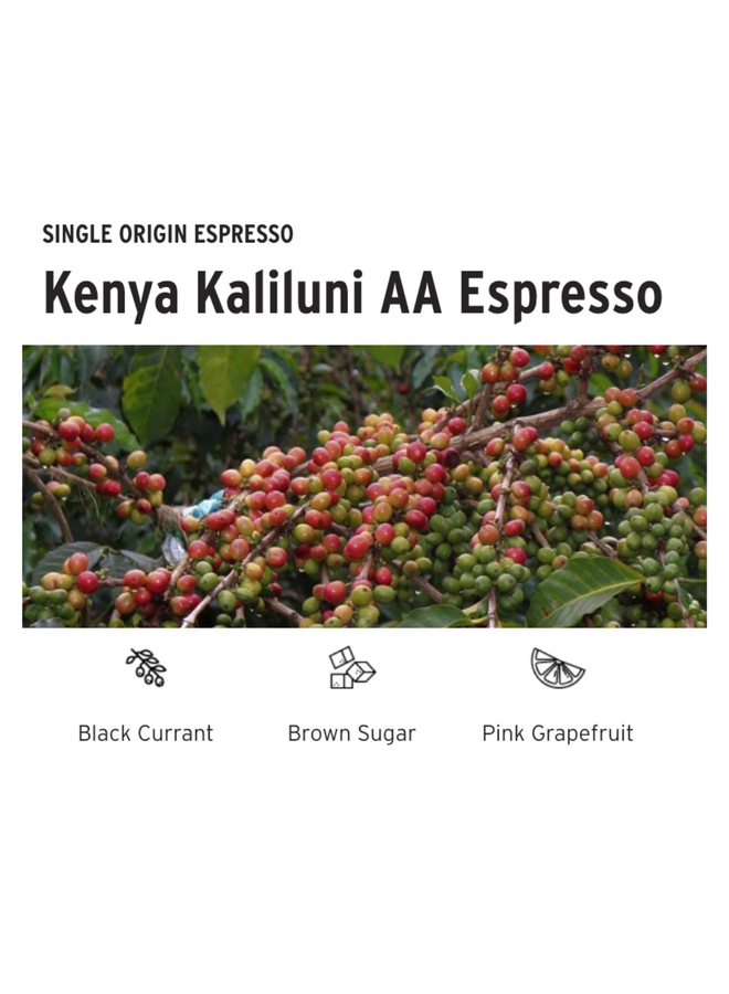 KENYA KALILUNI AA ESPRESSO
