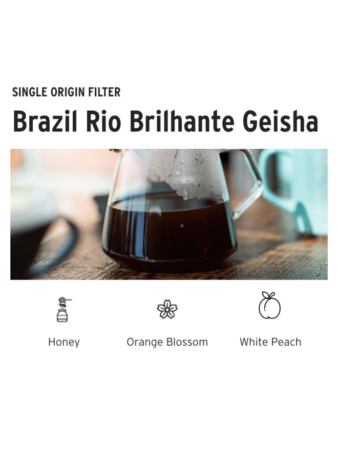 BRAZIL RIO BRILHANTE GEISHA