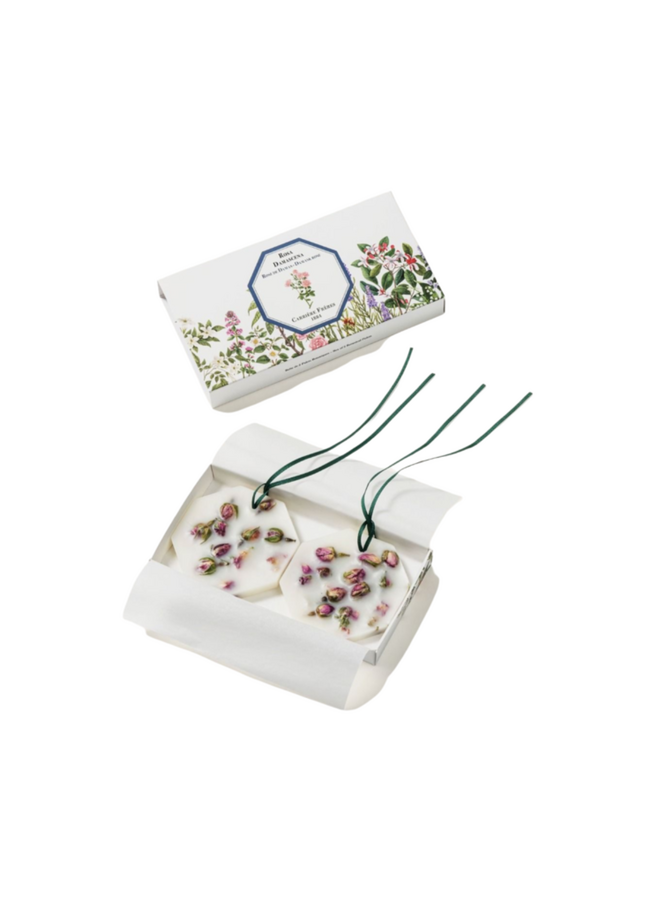 CF BOTANICAL PALETS - DAMASK ROSE