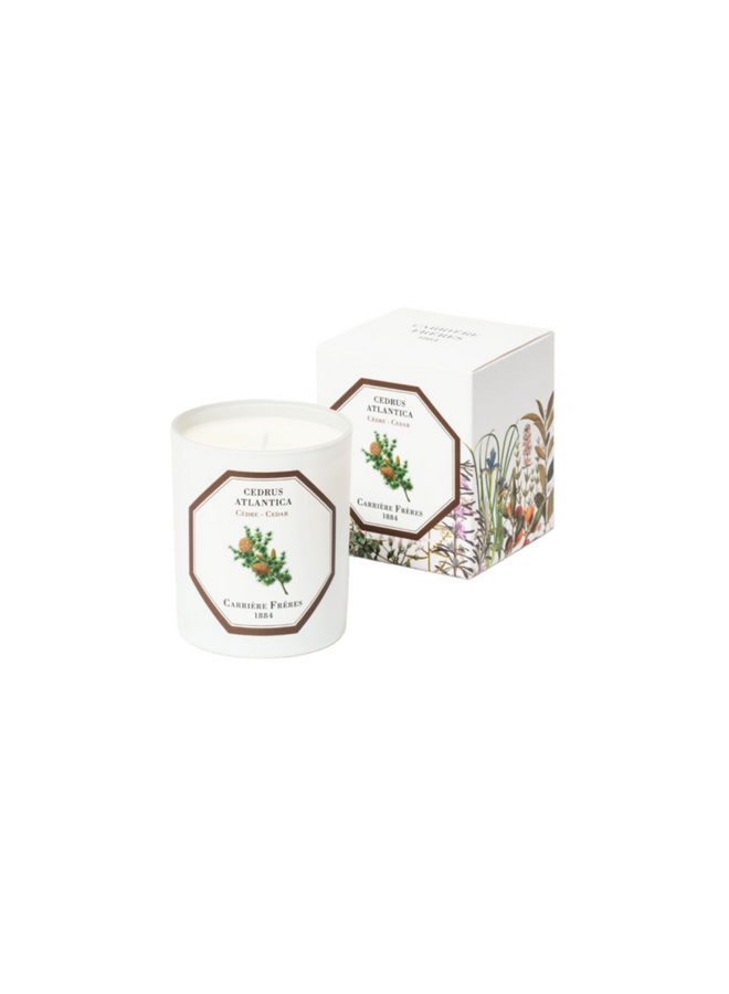 CF SCENTED CANDLES - CEDAR