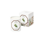 CF SCENTED CANDLES - CEDAR