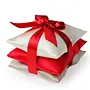 elizabeth W - SILK SACHET SET - RED/IVORY/SLVR