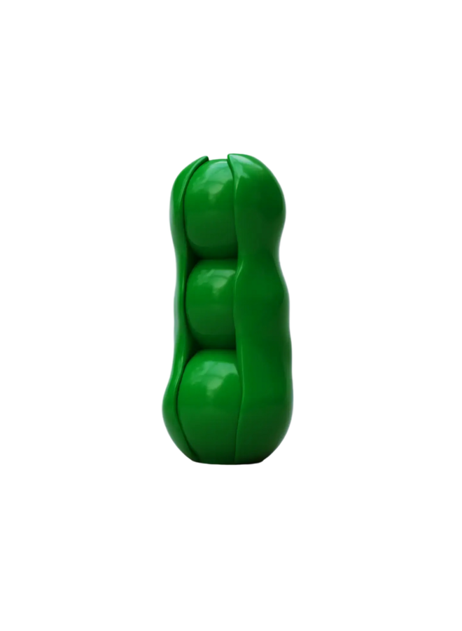 VASE - PETITS POIS VASE PEA