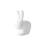 CHAIR - RABBIT CHAIR