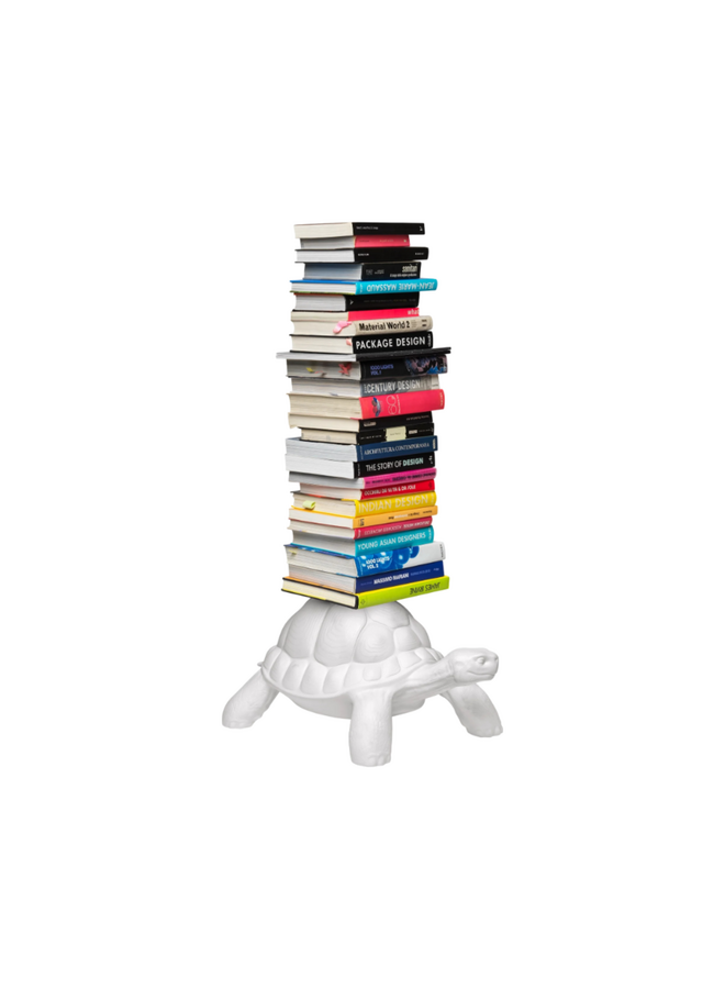 BOOKSHELF - TURTLE CARRY BOOKCASE