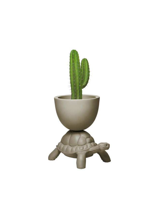 QEEBOO TURTLE CARRY PLANTER & CHAMPAGNE COOLER