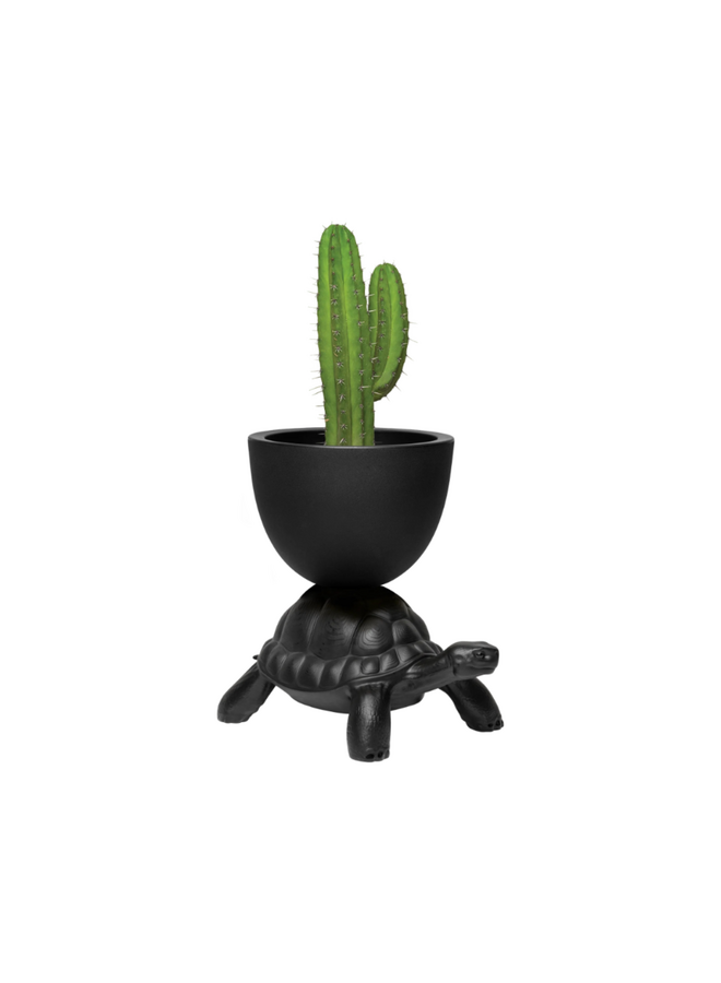QEEBOO TURTLE CARRY PLANTER & CHAMPAGNE COOLER