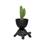 QEEBOO TURTLE CARRY PLANTER & CHAMPAGNE COOLER