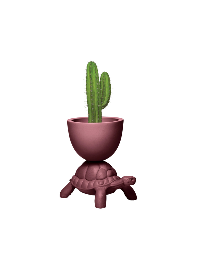 QEEBOO TURTLE CARRY PLANTER & CHAMPAGNE COOLER