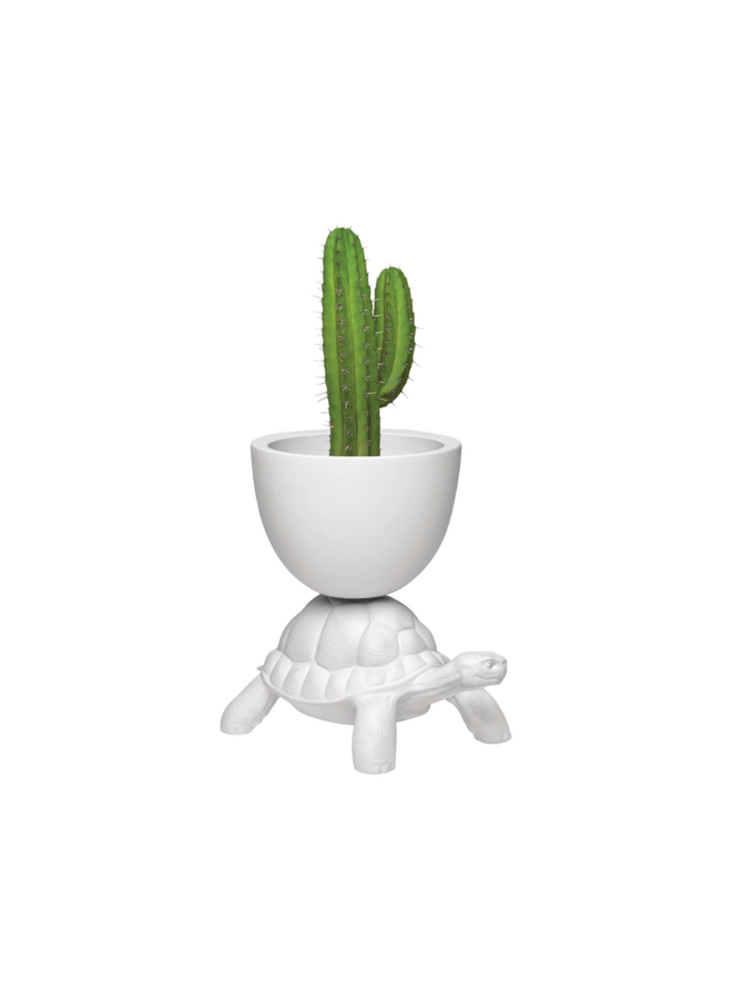 TURTLE CARRY PLANTER & CHAMPAGNE COOLER