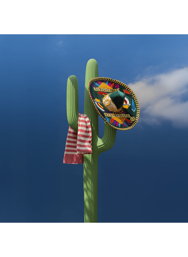 QEEBOO SAGUARO INDOOR COAT RACK
