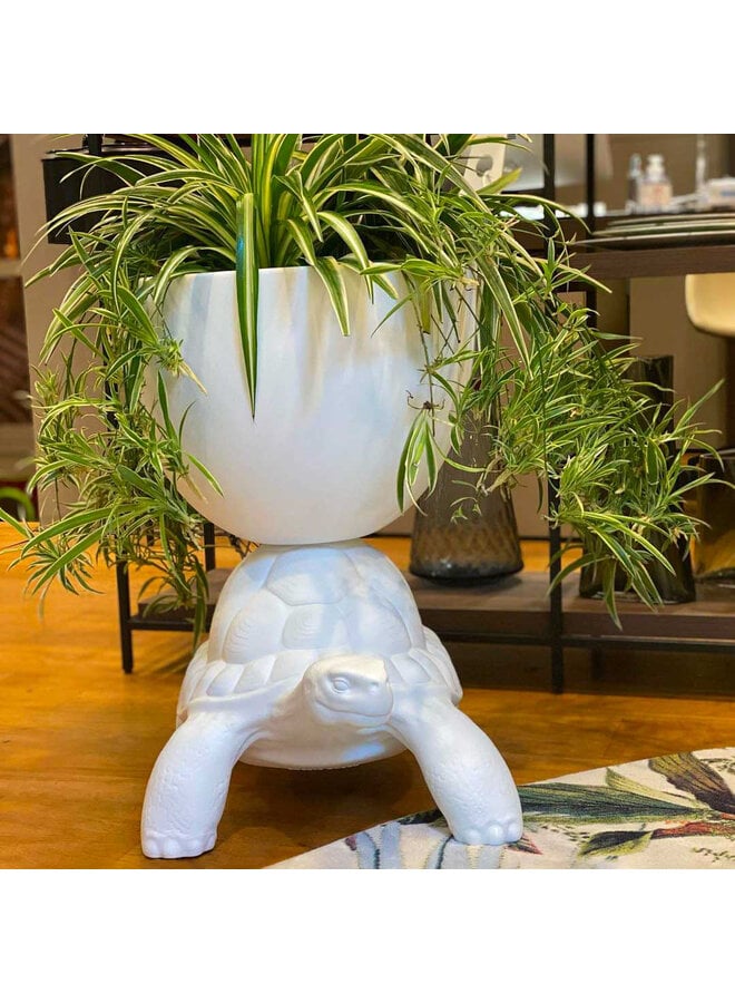 QEEBOO TURTLE CARRY PLANTER & CHAMPAGNE COOLER
