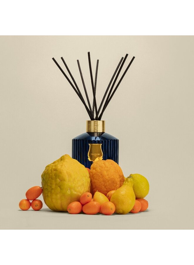 TRUDON REGGIO MANDARIN DIFFUSER 350ML
