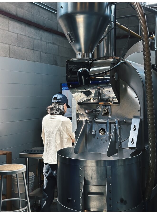 COLOMBIA, INMACULADA FELLOWS FARM GEISHA WASHED 200G