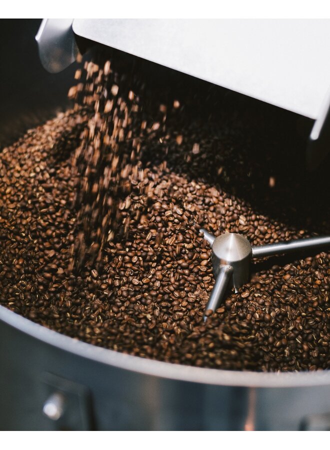 COLOMBIA, CERRO AZUL HW GEISHA 100G