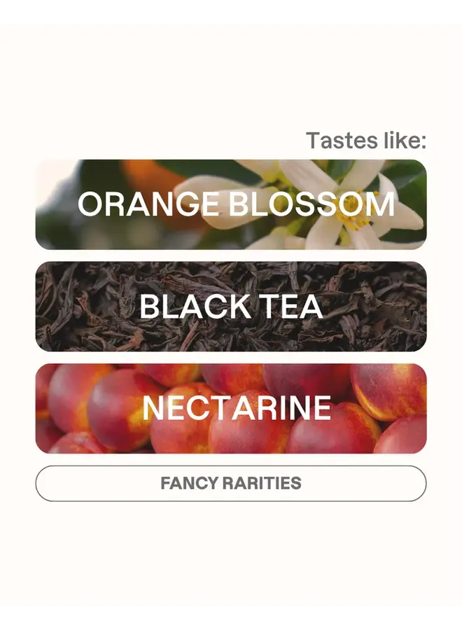 DEBORAH TERROIR 100G FILTER
