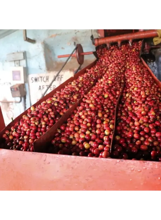 KENYA KALILUNI AA ESPRESSO