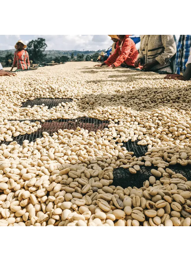 FRENCH ROAST ORGANIC