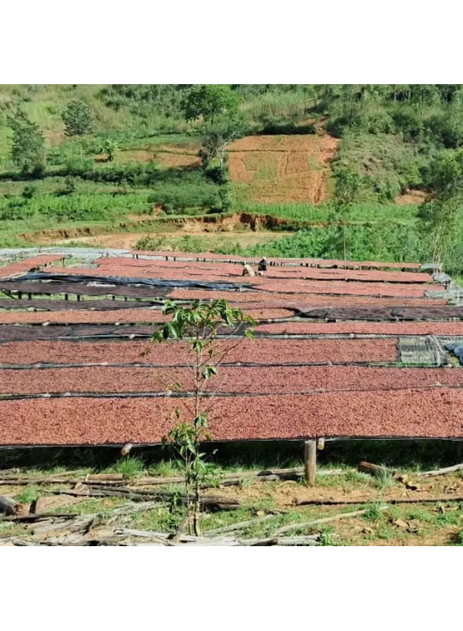 BURUNDI KAYANZA BUTANYERERA FILTER