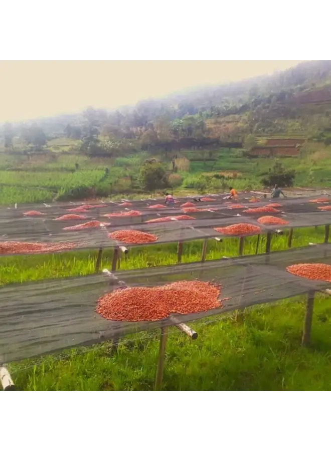BURUNDI KAYANZA BUTANYERERA FILTER