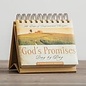 DayBrightener - God's Promises, Day by Day