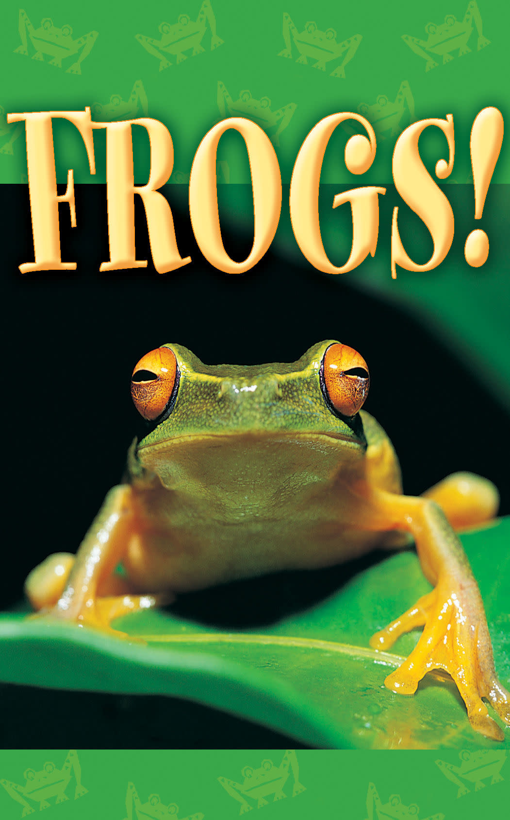 Good News Bulk Tracts: Frogs! - Goodruby Christian Bookstore