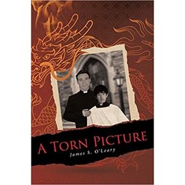 A Torn Picture (James S. O'Leary), Paperback