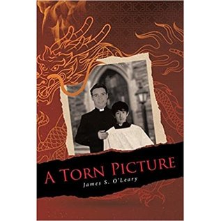 A Torn Picture (James S. O'Leary), Paperback