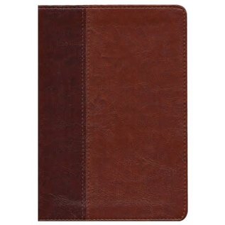 NLT Large Print  Every Man's Bible, Brown/Tan TuTone