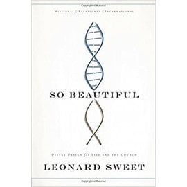 So Beautiful (Leonard Sweet), Paperback