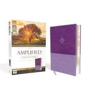 Amplified Large Print Study Bible, Purple Leathersoft