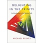 Delighting in the Trinity (Michael Reeves), Paperback