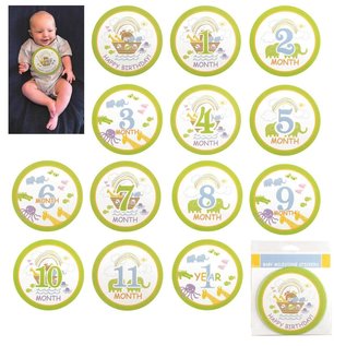 First Year Monthly Milestones - Noah's Ark