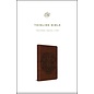 ESV Thinline Bible with Royal Lion, Brown Imitation Leather