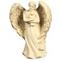 Amazing Angel - Protection