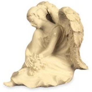 Amazing Angel - Serenity