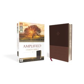 Amplified Large Print Study Bible, Brown Leathersoft
