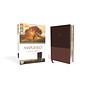 Amplified Large Print Study Bible, Brown Leathersoft