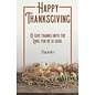 Bulletins - Happy Thanksgiving (100 Pack)