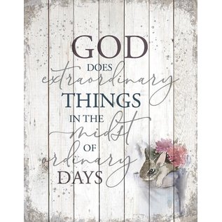 Wall Sign - God Does Extraordinary Things, Timberland Art