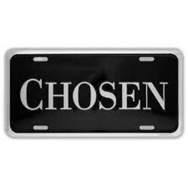 License Plate - Chosen, Silver