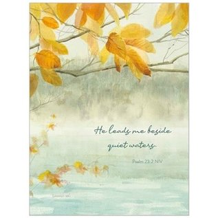 Note Cards - Quiet Waters, Box of 10