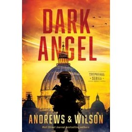 Dark Angel (Brian Andrews & Jeffrey Wilson), Paperback