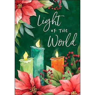 Boxed Christmas Cards - Light of the World