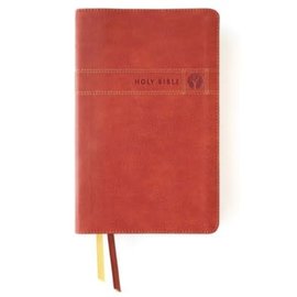 NIV Men's Devotional Bible, Brown Leathersoft