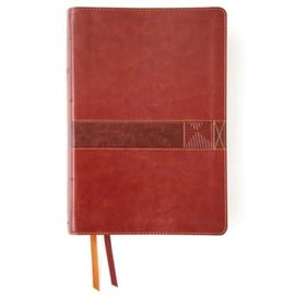 NIV Student Bible, Brown Leathersoft, Indexed