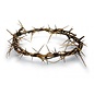 Crown of Thorns