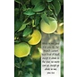 Bulletins - Abide in Me, John 15:4 (Pack of 100)
