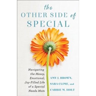 The Other Side of Special: Navigating the Messy, Emotional, Joy-Filled Life of a Special Needs Mom (Amy J. Brown, Sara Clime, & Carrie M. Holt), Paperback